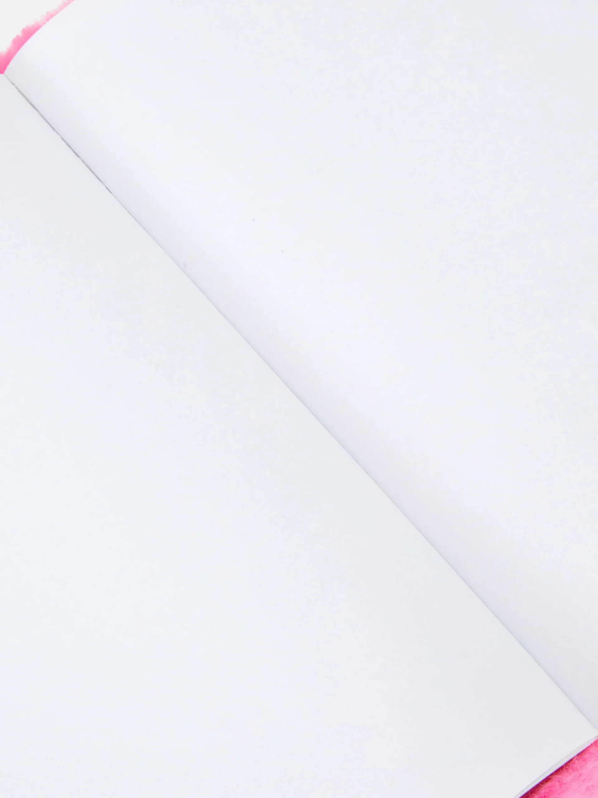 Carnet En Fausse Fourrure à Motif Papillon|Primark Best