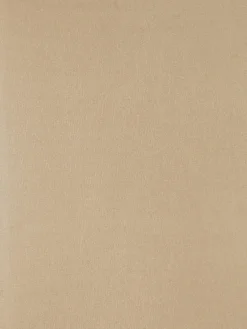 Collants De Luxe The Edit|Primark Sale