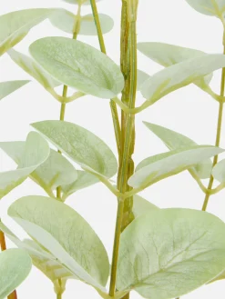 Eucalyptus Artificiel à Tige Unique|Primark New