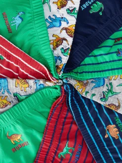 Lot De 10 Culottes Graphiques à Motifs Dinosaures|Primark Sale