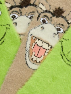 Lot De 2 Paires De Chaussettes Chaudes Shrek|Primark Discount