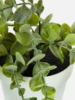 Plante Rampante Artificielle En Pot|Primark Online