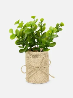Succulente Artificielle Dans Un Pot En Jute|Primark Best