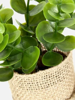 Succulente Artificielle Dans Un Pot En Jute|Primark Best