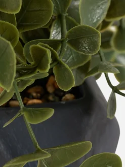 Succulente Artificielle Suspendue Dans Pot Géométrique|Primark Hot