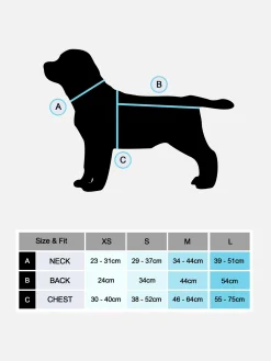 Tenue Citrouille Halloween Pour Animal De Compagnie|Primark Hot